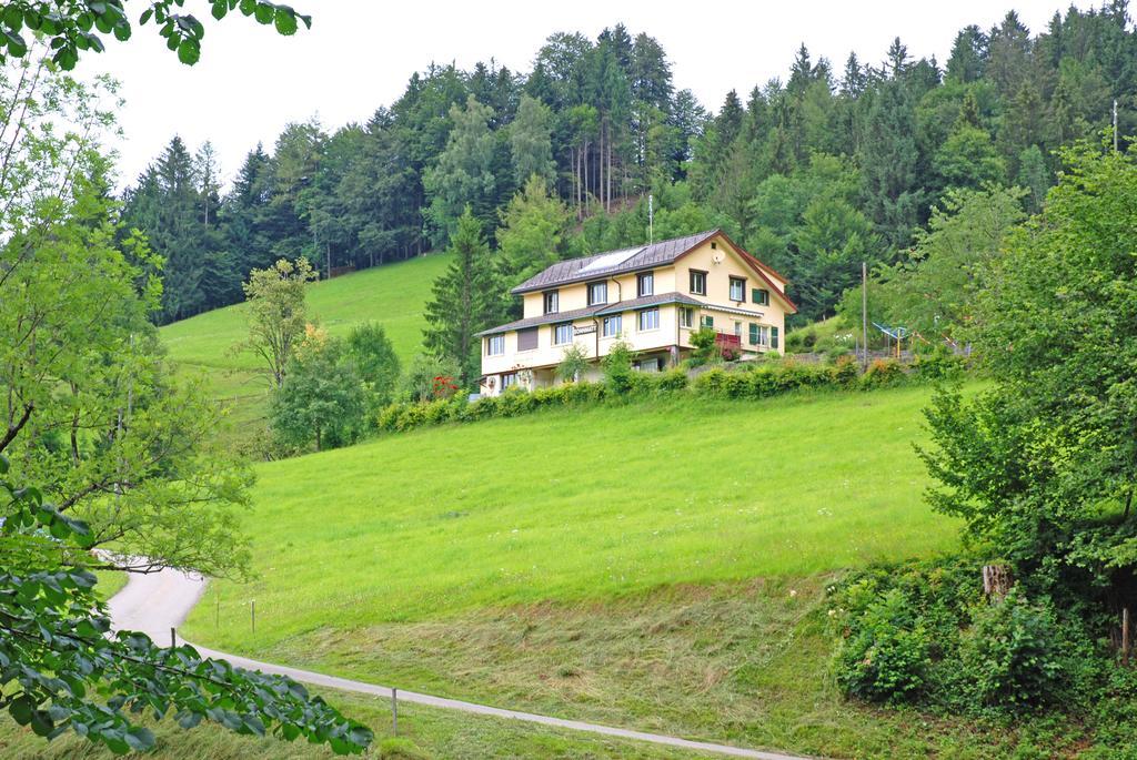 Sonnmatt Bergpension & Gesundheitszentrum Ebnat-Kappel Экстерьер фото